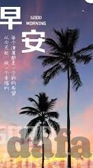 荷兰足球比分直播-荷兰足球比分直播,绿茵场上的实时心跳